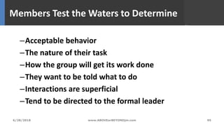 Members Test the Waters to Determine
–Acceptable behavior
–The nature of their task
–How the group will get its work done
–They want to be told what to do
–Interactions are superficial
–Tend to be directed to the formal leader
95www.ABOVEorBEYONDjm.com6/28/2018
 