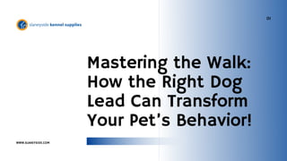 Mastering the Walk:
How the Right Dog
Lead Can Transform
Your Pet’s Behavior!
WWW.SLANEYSIDE.COM
01
 