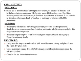 catalase test - principle, procedure, results, uses &... CLINICAL LABORATORY TECHNIQUES | PPTX