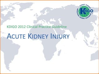 Kidney Disease: Improving Global Outcomes
ACUTE KIDNEY INJURY
KDIGO 2012 Clinical Practice Guideline
 