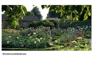 Rich colors in small garden area
 