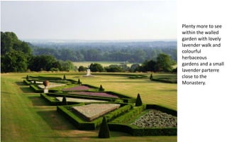 Plenty more to see
within the walled
garden with lovely
lavender walk and
colourful
herbaceous
gardens and a small
lavender parterre
close to the
Monastery.
 