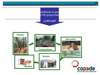 Bosque Transportistas Aserradero Muebles Secado 2007. Primeros fondos para la certificación en grupo CDC (financiadores públicos). 2008. Certificación FSC grupos forestales de Honduras. ¿y ahora qué?   
