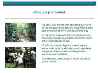 De los 1.600 millones de personas que viven en los bosques, más del 90% depende de ellos para sobrevivir (Banco Mundial). Peligro de  En el medio ambiente árido, los bosques son esenciales para la seguridad alimentaria en los años y temporadas secas.  Conflictos sociales ligados a los bosques: tenencia de la tierra, derechos de los pueblos indígenas, derechos de los trabajadores, relaciones comunitarias.  Los bosques contribuyen al desarrollo de las zonas rurales.  Bosques y sociedad 