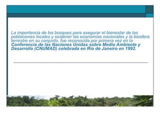 La importancia de los bosques para asegurar el bienestar de las poblaciones locales y sostener las economías nacionales y la biosfera terrestre en su conjunto, fue reconocida por primera vez en la  Conferencia de las Naciones Unidas sobre Medio Ambiente y Desarrollo (CNUMAD) celebrada en Río de Janeiro en 1992. 