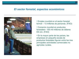 Empleo mundial en el sector forestal formal – 13 millones de personas. (FAO)  Comercio mundial en productos forestales– 150 mil millones de dólares EE.UU. (FAO) En la mayor parte de los países, las empresas en pequeña escala de productos forestales figuran entre las tres principales actividades comerciales no agrícolas rurales.  El sector forestal, aspectos económicos  