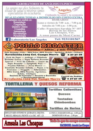 R
E
V
I
S
T
A
M
A
S
T
E
R
M
X
 