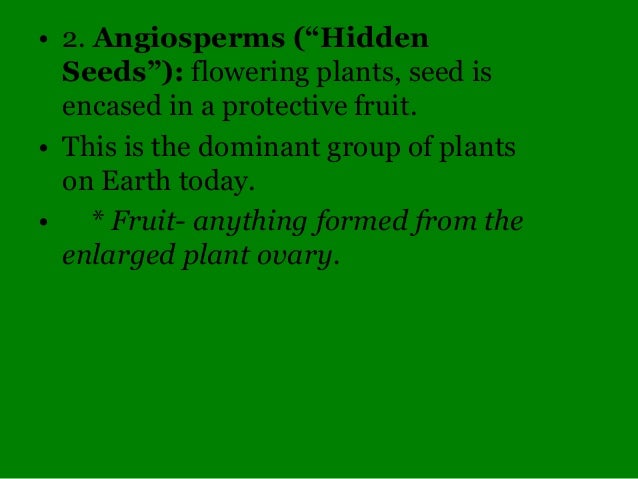 Master Naturalist