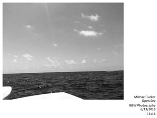 Michael Tucker
Open Sea
B&W Photography
6/13/2013
11x14
 