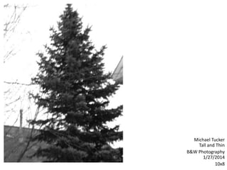 Michael Tucker
Tall and Thin
B&W Photography
1/27/2014
10x8
 