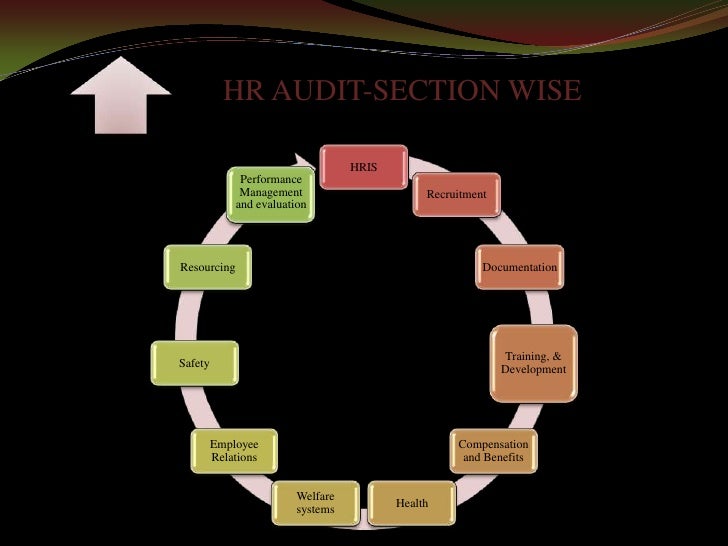 HUMAN RESOURCE AUDIT