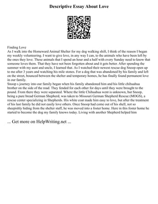 Descriptive Essay About Love
Finding Love
As I walk into the Homeward Animal Shelter for my dog walking shift, I think of the reason I began
my weekly volunteering. I want to give love, in any way I can, to the animals who have been left by
the ones they love. These animals that I spend an hour and a half with every Sunday need to know that
someone loves them. That they have not been forgotten about and it gets better. After spending the
summer with my aunt and uncle, I learned that. As I watched their newest rescue dog Snoop open up
to me after 3 years and watching his mile stones. For a dog that was abandoned by his family and left
on the street, bounced between the shelter and temporary homes, he has finally found permanent love
in our family.
Snoop s journey into our family began when his family abandoned him and his little chihuahua
brother on the side of the road. They fended for each other for days until they were brought to the
pound. From there they were separated. Where the little Chihuahua went is unknown, but Snoop,
being a pure bread German Shepherd, was taken to Missouri German Shepherd Rescue (MOGS), a
rescue center specializing in Shepherds. His white coat made him easy to love, but after the treatment
of his last family he did not easily love others. Once Snoop had come out of his shell, not so
sheepishly hiding from the shelter staff, he was moved into a foster home. Here in this foster home he
started to become the dog my family knows today. Living with another Shepherd helped him
... Get more on HelpWriting.net ...
 