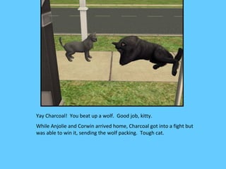 Yay Charcoal! You beat up a wolf. Good job, kitty.
While Anjolie and Corwin arrived home, Charcoal got into a fight but
was able to win it, sending the wolf packing. Tough cat.
 