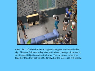 Aww. Sad. It’s time for Pastel to go to that great cat condo in the
sky. Charcoal followed a day later but I missed taking a picture of it,
so I thought I’d just mention that now. The cats spent more time
together than they did with the family, but the loss is still felt keenly.
 