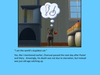 “I am the world’s stupidest cat.”
Yes, like I mentioned earlier, Charcoal passed the next day after Pastel
and Hiery. Amazingly, his death was not due to starvation, but instead
was just old age catching up.
 