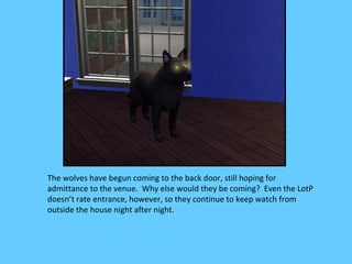 The wolves have begun coming to the back door, still hoping for
admittance to the venue. Why else would they be coming? Even the LotP
doesn’t rate entrance, however, so they continue to keep watch from
outside the house night after night.
 