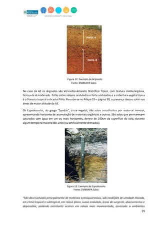 29
Figura 12: Exemplo de Argissolo
Fonte: EMBRAPA Solos
No caso da AE os Argisolos são Vermelho-Amarelo Distrófico Típico, com textura média/argilosa,
horizonte A moderado. Estão sobre relevos ondulados e forte ondulados e a cobertura vegetal típica
é a floresta tropical subcaducifólia. Percebe-se no Mapa 03 – página 30, a presença destes solos nas
áreas de maior altitude da AE.
Os Espodossolos, do grego “Spodos”, cinza vegetal, são solos constituídos por material mineral,
apresentando horizonte de acumulação de materiais orgânicos e outros. São solos que permanecem
saturados com água em um ou mais horizontes, dentro de 100cm da superfície do solo, durante
algum tempo na maioria dos anos (ou artificialmente drenados).
“São desenvolvidos principalmente de materiais arenoquartzosos, sob condições de umidade elevada,
em clima tropical e subtropical, em relevo plano, suave ondulado, áreas de surgente, abaciamentos e
depressões; podendo entretanto ocorrer em relevo mais movimentado, associado a ambientes
Horiz. A
Horiz. B
Figura 13: Exemplo de Espodossolo
Fonte: EMBRAPA Solos
 