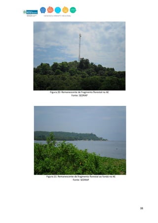 38
Figura 20: Remanescente de fragmento florestal na AE
Fonte: SEDRAP
Figura 21: Remanescente de fragmento florestal ao fundo na AE
Fonte: SEDRAP
 