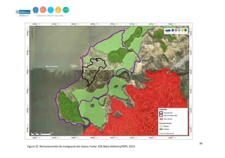 39
Figura 22. Remanescentes de manguezal em Itaoca, Fonte: SOS Mata Atlântica/INPE, 2013.
 