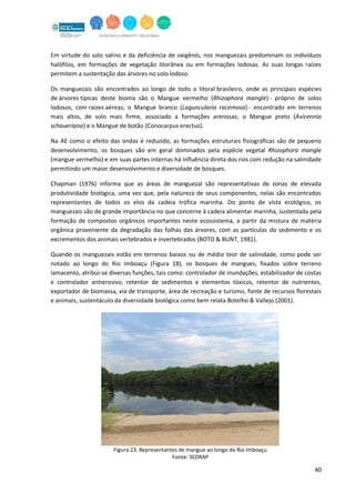 40
Em virtude do solo salino e da deficiência de oxigênio, nos manguezais predominam os indivíduos
halófilos, em formações de vegetação litorânea ou em formações lodosas. As suas longas raízes
permitem a sustentação das árvores no solo lodoso.
Os manguezais são encontrados ao longo de todo o litoral brasileiro, onde as principais espécies
de árvores típicas deste bioma são o Mangue vermelho (Rhizophora mangle) - próprio de solos
lodosos, com raízes aéreas; o Mangue branco (Laguncularia racemosa) - encontrado em terrenos
mais altos, de solo mais firme, associado a formações arenosas; o Mangue preto (Avicennia
schaueriana) e o Mangue de botão (Conocarpus erectus).
Na AE como o efeito das ondas é reduzido, as formações estruturais fisiográficas são de pequeno
desenvolvimento, os bosques são em geral dominados pela espécie vegetal Rhizophora mangle
(mangue vermelho) e em suas partes internas há influência direta dos rios com redução na salinidade
permitindo um maior desenvolvimento e diversidade de bosques.
Chapman (1976) informa que as áreas de manguezal são representativas de zonas de elevada
produtividade biológica, uma vez que, pela natureza de seus componentes, nelas são encontrados
representantes de todos os elos da cadeia trófica marinha. Do ponto de vista ecológico, os
manguezais são de grande importância no que concerne à cadeia alimentar marinha, sustentada pela
formação de compostos orgânicos importantes neste ecossistema, a partir da mistura de matéria
orgânica proveniente da degradação das folhas das árvores, com as partículas do sedimento e os
excrementos dos animais vertebrados e invertebrados (BOTO & BUNT, 1981).
Quando os manguezais estão em terrenos baixos ou de médio teor de salinidade, como pode ser
notado ao longo do Rio Imboaçu (Figura 18), os bosques de mangues, fixados sobre terreno
lamacento, atribui-se diversas funções, tais como: controlador de inundações, estabilizador de costas
e controlador antierosivo, retentor de sedimentos e elementos tóxicos, retentor de nutrientes,
exportador de biomassa, via de transporte, área de recreação e turismo, fonte de recursos florestais
e animais, sustentáculo da diversidade biológica como bem relata Botelho & Vallejo (2001).
Figura 23: Representantes de mangue ao longo do Rio Imboaçu
Fonte: SEDRAP
 
