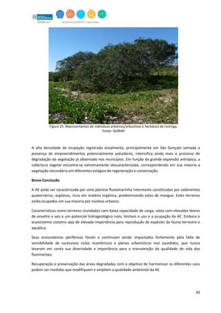 42
A alta densidade de ocupação registrada atualmente, principalmente em São Gonçalo somada a
presença de empreendimentos potencialmente poluidores, intensifica ainda mais o processo de
degradação da vegetação já observado nos municípios. Em função da grande expansão antrópica, a
cobertura vegetal encontra-se extremamente descaracterizada, correspondendo em sua maioria a
vegetação secundária em diferentes estágios de regeneração e conservação.
Breve Conclusão
A AE pode ser caracterizada por uma planície fluviomarinha intermarés constituídas por sedimentos
quaternários, argilosos, ricos em matéria orgânica, predominando solos de mangue. Estes terrenos
estão ocupados em sua maioria por núcleos urbanos.
Características como terrenos inundados com baixa capacidade de carga, solos com elevados teores
de enxofre e sais e um potencial hidrogeológico nulo, limitam o uso e a ocupação da AE. Embora o
ecossistema costeiro seja de elevada importância para reprodução de espécies da fauna terrestre e
aquática.
Seus ecossistemas periféricos foram e continuam sendo impactados fortemente pela falta de
sensibilidade de sucessivos ciclos econômicos e planos urbanísticos mal sucedidos, que nunca
levaram em conta sua diversidade e importância para a manutenção da qualidade de vida dos
fluminenses.
Recuperação e preservação das áreas degradadas com o objetivo de harmonizar os diferentes usos
podem ser medidas que modifiquem e ampliem a qualidade ambiental da AE.
Figura 25: Representantes de indivíduos arbóreos/arbustivos e herbáceo de restinga.
Fonte: SEDRAP
 