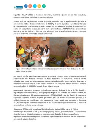 69
Segundo o IBAMA (2002), os meses de novembro, dezembro e janeiro são os mais produtivos,
enquanto maio, junho e julho são os menos produtivos.
Existem mais de 200 mulheres na Ilha de Itaoca envolvidas com o beneficiamento do Siri e a
remuneração média é de aproximadamente R$ 20,00/kg de carne. O produto é vendido no Mercado
de Peixe São Pedro e nas feiras de Alcântara e Neves em São Gonçalo. A atividade de descarnar o siri
ocorre em suas próprias casas e, de acordo com a presidente da APESCASIRILUZ e o presidente da
Associação de São Gabriel, a falta de local adequado para o beneficiamento do siri, é um dos
principais problemas enfrentados pelas escarnadeiras.
Figura 53. Beneficiamento de Siri nos domicílios das escarnadeiras da Praia da Luz, na Ilha de
Itaoca. Fonte: SEDRAP.
A prática da tarrafa, segundo entrevistados na pesquisa de campo, é pouca, praticada por apenas 3
pescadores na Praia da Beira e Praia da Luz. Nesta modalidade são capturados a tainha e corvina
utilizadas para venda aos atravessadores. A comercialização também ocorre na beira da praia e o
destino final são os quiosques, bares locais e bairros de São Gonçalo e Niterói. O valor da primeira
comercialização é de R$ 80,00 a bandeja de até 30kg da corvina.
A captura de caranguejo também é realizada nos mangues da Praia da Luz e de São Gabriel e,
segundo pescador entrevistado, a produção pode chegar a 100 unidades por semana. Existem, na
ilha, aproximadamente 40 catadores associados a APESCASIRILUZ e de São Gabriel. O caranguejo
capturado é vendido na beira da praia, geralmente para um mesmo atravessador por R$0,75 a
unidade. Quando não vendida para este, o pescador o vende a varejo para compradores diversos a
R$1,00. O caranguejo é vendido em porções de 9 a 12 unidades dispostas em cordas. O produto é
comercializado em feiras ou nas estradas.
O estudo do IBAMA registrou, na Praia São Gabriel, entre abril de 2001 e março de 2002, o
desembarque de cerca de 13.500 kg de caranguejo (37kg por dia), que corresponde a 14% do volume
desembarcado na Baía de Guanabara no mesmo período. Os dados de desembarque foram
registrados entre os meses de janeiro a setembro. O período entre os meses de outubro e dezembro
corresponde a época do defeso.
 