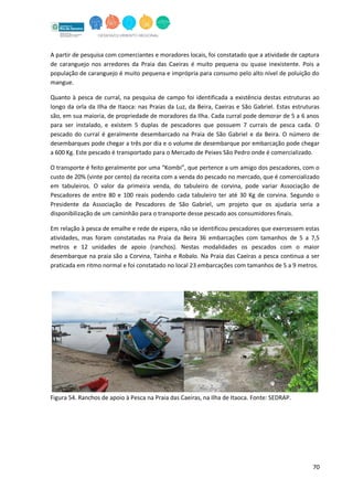 70
A partir de pesquisa com comerciantes e moradores locais, foi constatado que a atividade de captura
de caranguejo nos arredores da Praia das Caeiras é muito pequena ou quase inexistente. Pois a
população de caranguejo é muito pequena e imprópria para consumo pelo alto nível de poluição do
mangue.
Quanto à pesca de curral, na pesquisa de campo foi identificada a existência destas estruturas ao
longo da orla da Ilha de Itaoca: nas Praias da Luz, da Beira, Caeiras e São Gabriel. Estas estruturas
são, em sua maioria, de propriedade de moradores da Ilha. Cada curral pode demorar de 5 a 6 anos
para ser instalado, e existem 5 duplas de pescadores que possuem 7 currais de pesca cada. O
pescado do curral é geralmente desembarcado na Praia de São Gabriel e da Beira. O número de
desembarques pode chegar a três por dia e o volume de desembarque por embarcação pode chegar
a 600 Kg. Este pescado é transportado para o Mercado de Peixes São Pedro onde é comercializado.
O transporte é feito geralmente por uma “Kombi”, que pertence a um amigo dos pescadores, com o
custo de 20% (vinte por cento) da receita com a venda do pescado no mercado, que é comercializado
em tabuleiros. O valor da primeira venda, do tabuleiro de corvina, pode variar Associação de
Pescadores de entre 80 e 100 reais podendo cada tabuleiro ter até 30 Kg de corvina. Segundo o
Presidente da Associação de Pescadores de São Gabriel, um projeto que os ajudaria seria a
disponibilização de um caminhão para o transporte desse pescado aos consumidores finais.
Em relação à pesca de emalhe e rede de espera, não se identificou pescadores que exercessem estas
atividades, mas foram constatadas na Praia da Beira 36 embarcações com tamanhos de 5 a 7,5
metros e 12 unidades de apoio (ranchos). Nestas modalidades os pescados com o maior
desembarque na praia são a Corvina, Tainha e Robalo. Na Praia das Caeiras a pesca continua a ser
praticada em ritmo normal e foi constatado no local 23 embarcações com tamanhos de 5 a 9 metros.
Figura 54. Ranchos de apoio à Pesca na Praia das Caeiras, na Ilha de Itaoca. Fonte: SEDRAP.
 