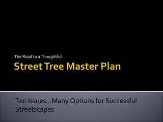 The Road to a Thoughtful Ten Issues…Many Options for Successful Streetscapes  