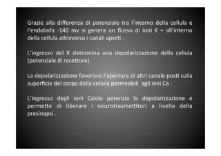 
Grazie	
  alla	
  diﬀerenza	
  di	
  potenziale	
  tra	
  l’interno	
  della	
  cellula	
  e	
 
l’endolinfa	
  -­‐140	
  mv	
  si	
  genera	
  un	
  ﬂusso	
  di	
  ioni	
  K	
  +	
  all’interno	
 
della	
 cellula	
 a<raverso	
 i	
 canali	
 aper&	
 .	
 
	
 
L’ingresso	
  del	
  K	
  determina	
  una	
  depolarizzazione	
  della	
  cellula	
 
(potenziale	
 di	
 rece<ore).	
 	
 
	
 
La	
 depolarizzazione	
 favorisce	
 l’apertura	
 di	
 altri	
 canale	
 pos&	
 sulla	
 
superﬁcie	
 del	
 corpo	
 della	
 cellula	
 permeabili	
 	
 agli	
 ioni	
 Ca	
 .	
 	
 
	
 
L’ingresso	
  degli	
  ioni	
  Calcio	
  potenzia	
  la	
  depolarizzazione	
  e	
 
perme<e	
  di	
  liberare	
  i	
  neurotrasme^tori	
  a	
  livello	
  della	
 
presinapsi	
 .	
 	
 
	
 
	
 
 