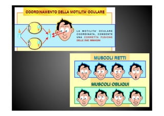 Master posturologia