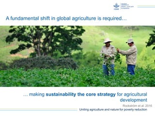 Uniting agriculture and nature for poverty reduction
A fundamental shift in global agriculture is required…
… making sustainability the core strategy for agricultural
development
Rockström et al. 2016
 