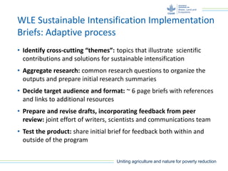 Uniting agriculture and nature for poverty reduction
WLE Sustainable Intensification Implementation
Briefs: Adaptive process
• Identify cross-cutting “themes”: topics that illustrate scientific
contributions and solutions for sustainable intensification
• Aggregate research: common research questions to organize the
outputs and prepare initial research summaries
• Decide target audience and format: ~ 6 page briefs with references
and links to additional resources
• Prepare and revise drafts, incorporating feedback from peer
review: joint effort of writers, scientists and communications team
• Test the product: share initial brief for feedback both within and
outside of the program
 