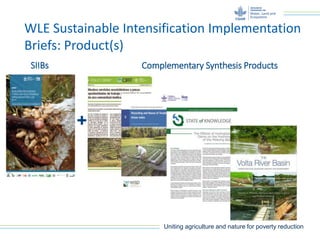 Uniting agriculture and nature for poverty reduction
WLE Sustainable Intensification Implementation
Briefs: Product(s)
+
SIIBs Complementary Synthesis Products
 