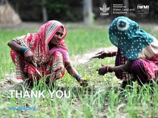 U N I T I N G A G R I C U LT U R E A N D N AT U R E F O R P O V E R T Y R E D U C T I O N
THANK YOU
wle.cgiar.org
 