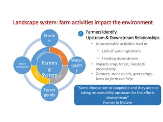 Landscape system: farm activities impact the environment
6
7
Farmers Identify
Upstream & Downstream Relationships
• Unsustainable activities lead to:
• Lack of water upstream
• Flooding downstream
• Impacts crop, forest, livestock
productivity
• Terraces, stone bunds, grass strips,
trees on farm can help
Farmin
g
System
Erosio
n
Water
qualit
y
Forest
goods
Water
Availability
“Some choose not to cooperate and they are not
taking responsibility upstream for the effects
downstream”
Farmer in Malawi
 