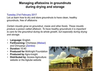Managing aflatoxins in groundnuts
during drying and storage
Tuesday 21st February 2017
Let us learn how to dry and store groundnuts to have clean, healthy
groundnuts, free of aflatoxins
Certain moulds grow on groundnut, maize and other foods. These moulds
produce a poison called aflatoxin. To have healthy groundnuts it is important
to care for the groundnut during its whole growth, but especially during drying
and storage.
• Language: English
• Forthcoming: Chichewa (Malawi)
and Chinyanja (Zambia)
• Duration 15:40
• Produced for McKnight Foundation
• Produced by Agro-Insight
• Distributed by: Access Agriculture
website or the Agtube website
 