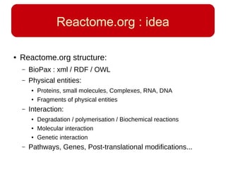 Reactome.org : idea
● Reactome.org structure:
– BioPax : xml / RDF / OWL
– Physical entities:
● Proteins, small molecules, Complexes, RNA, DNA
● Fragments of physical entities
– Interaction:
● Degradation / polymerisation / Biochemical reactions
● Molecular interaction
● Genetic interaction
– Pathways, Genes, Post-translational modifications...
 