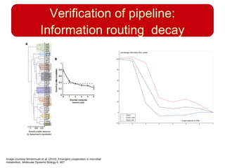 Verification of pipeline:
Information routing decay
Image courtesy Wintermute et al. (2010). Emergent cooperation in microbial
metabolism. Molecular Systems Biology 6, 407.
 