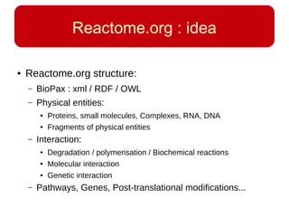 Reactome.org : idea
● Reactome.org structure:
– BioPax : xml / RDF / OWL
– Physical entities:
● Proteins, small molecules,...