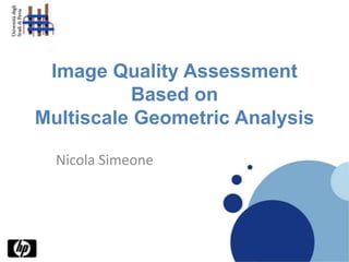 Image Quality Assessment Based onMultiscaleGeometricAnalysis Nicola Simeone 