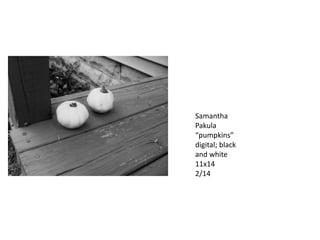 Samantha
Pakula
“pumpkins”
digital; black
and white
11x14
2/14

 