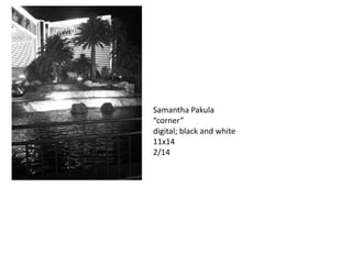 Samantha Pakula
“corner”
digital; black and white
11x14
2/14

 