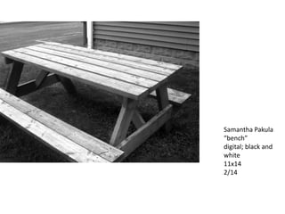 Samantha Pakula
“bench”
digital; black and
white
11x14
2/14

 