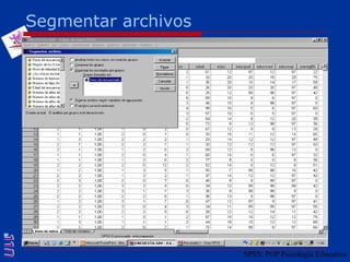 Segmentar archivosSPSS: POP Psicología Educativa