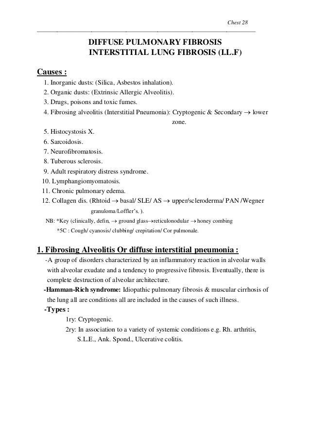 sle undergraduate resume 100 sle dietetic student resume 28 41 best best sle undergraduate resume 100 sle dietetic student resume 28 41 best best