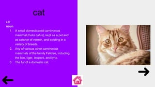 cat
kăt
noun
1. A small domesticated carnivorous
mammal (Felis catus), kept as a pet and
as catcher of vermin, and existing in a
variety of breeds.
2. Any of various other carnivorous
mammals of the family Felidae, including
the lion, tiger, leopard, and lynx.
3. The fur of a domestic cat.
 