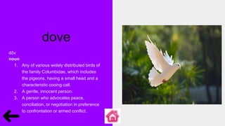 dove
dōv
noun
1. Any of various widely distributed birds of
the family Columbidae, which includes
the pigeons, having a small head and a
characteristic cooing call.
2. A gentle, innocent person.
3. A person who advocates peace,
conciliation, or negotiation in preference
to confrontation or armed conflict.
 