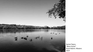 Rachel Tejero
“More Ducks”
Ansel Adams: Masters
2014
 