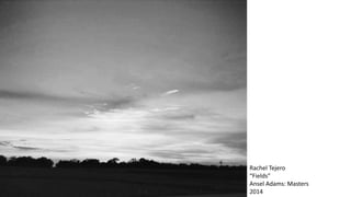 Rachel Tejero
“Fields”
Ansel Adams: Masters
2014
 