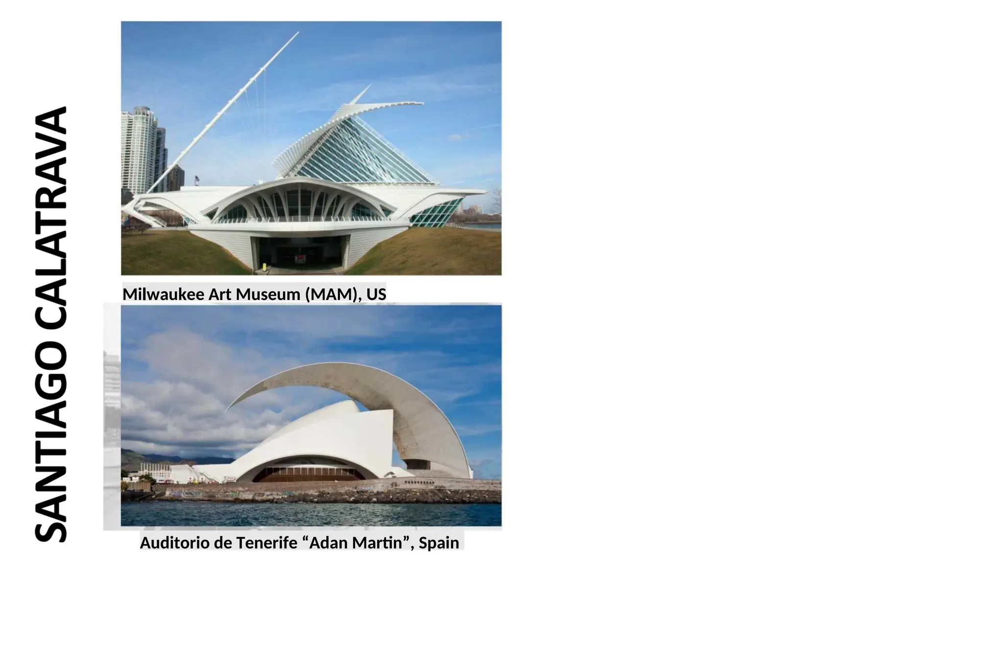 Milwaukee Art Museum (MAM), US
Auditorio de Tenerife “Adan Martin”, Spain
 